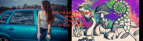 тгк Надым
