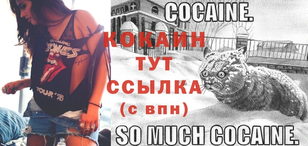 тгк Надым