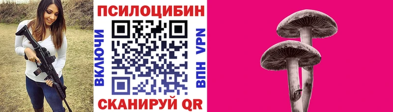 Купить  Владикавказ  Псилоцибиновые грибы GOLDEN TEACHER 